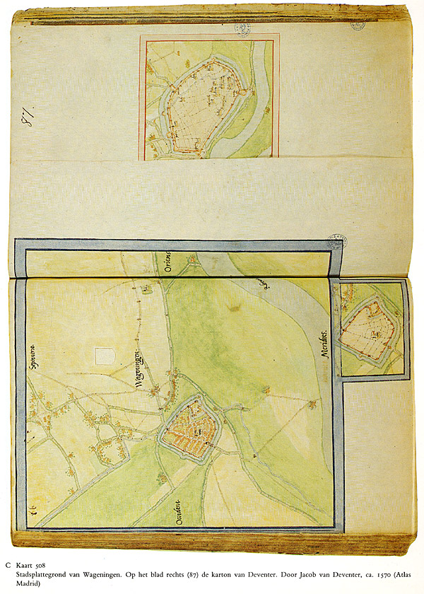 Afbeelding van het boek De Gelderse Vallei. Geschiedenis in oude kaarten