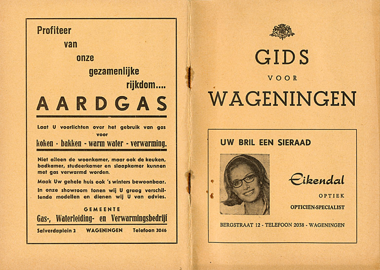 Afbeelding van het boek Gids voor Wageningen 1966-1967