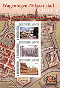Afbeelding van het boek Wageningen 750 jaar stad 1263-2013