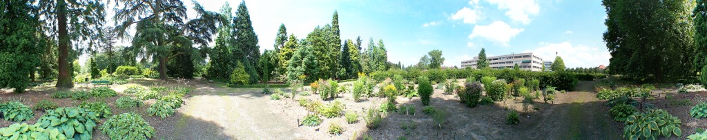 Arboretum de Dreijen 2