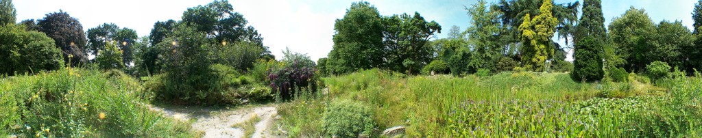 Arboretum de Dreijen 3