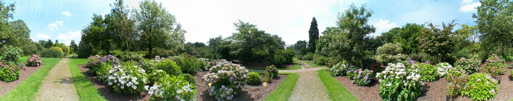 Arboretum de Dreijen 4