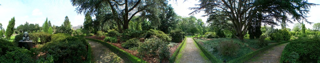 Arboretum de Dreijen 5